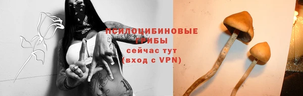 тгк Алексеевка