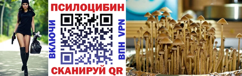 Купить  Вышний Волочёк  Псилоцибиновые грибы GOLDEN TEACHER 